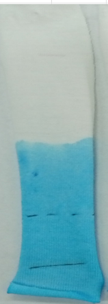 Capillarity test result with Casdiscour Max Conc - sample 2